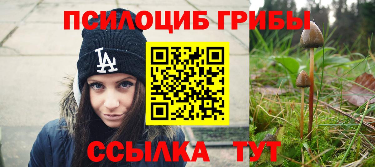 Ухта  Псилоцибиновые грибы Psilocybine cubensis  наркошоп  Вход с VPN 